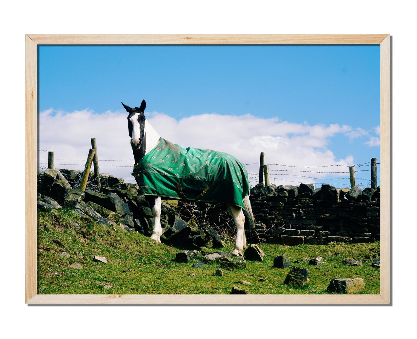 Handsome Horse - House.warmings